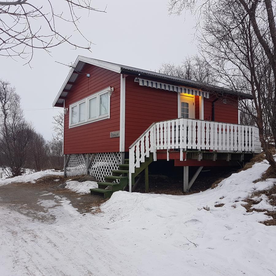 Hotel Camp Saltstraumen-Elvegard Bodø Esterno foto