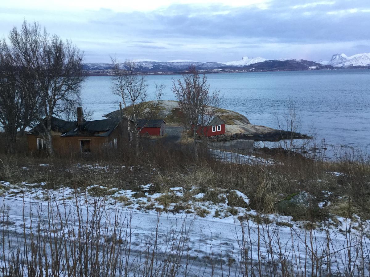 Hotel Camp Saltstraumen-Elvegard Bodø Esterno foto