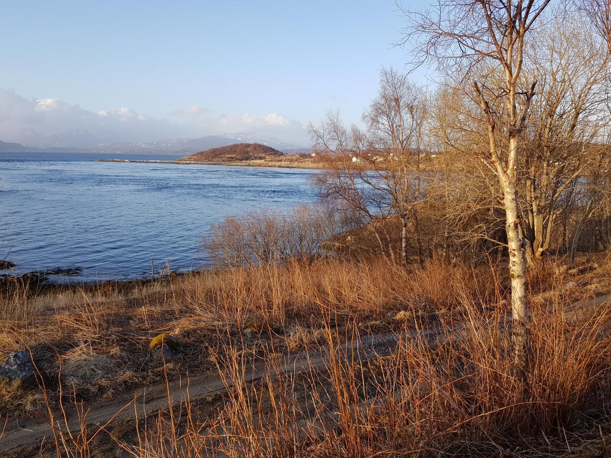 Hotel Camp Saltstraumen-Elvegard Bodø Esterno foto